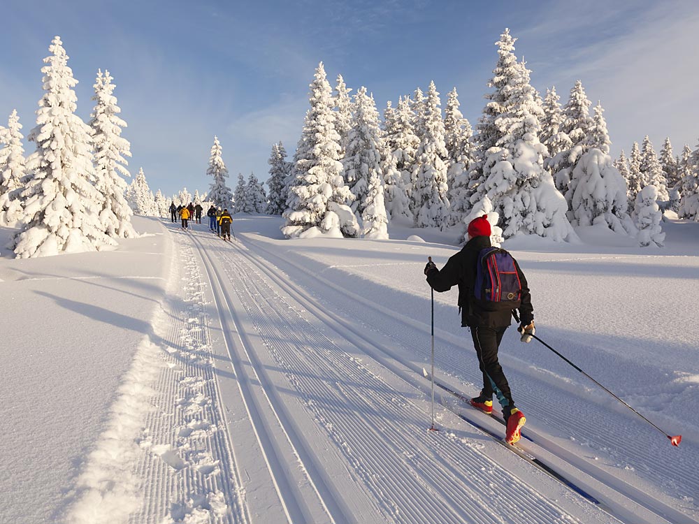 Langlauf- und Skigebiet bei Mauth im Bayerischer Wald