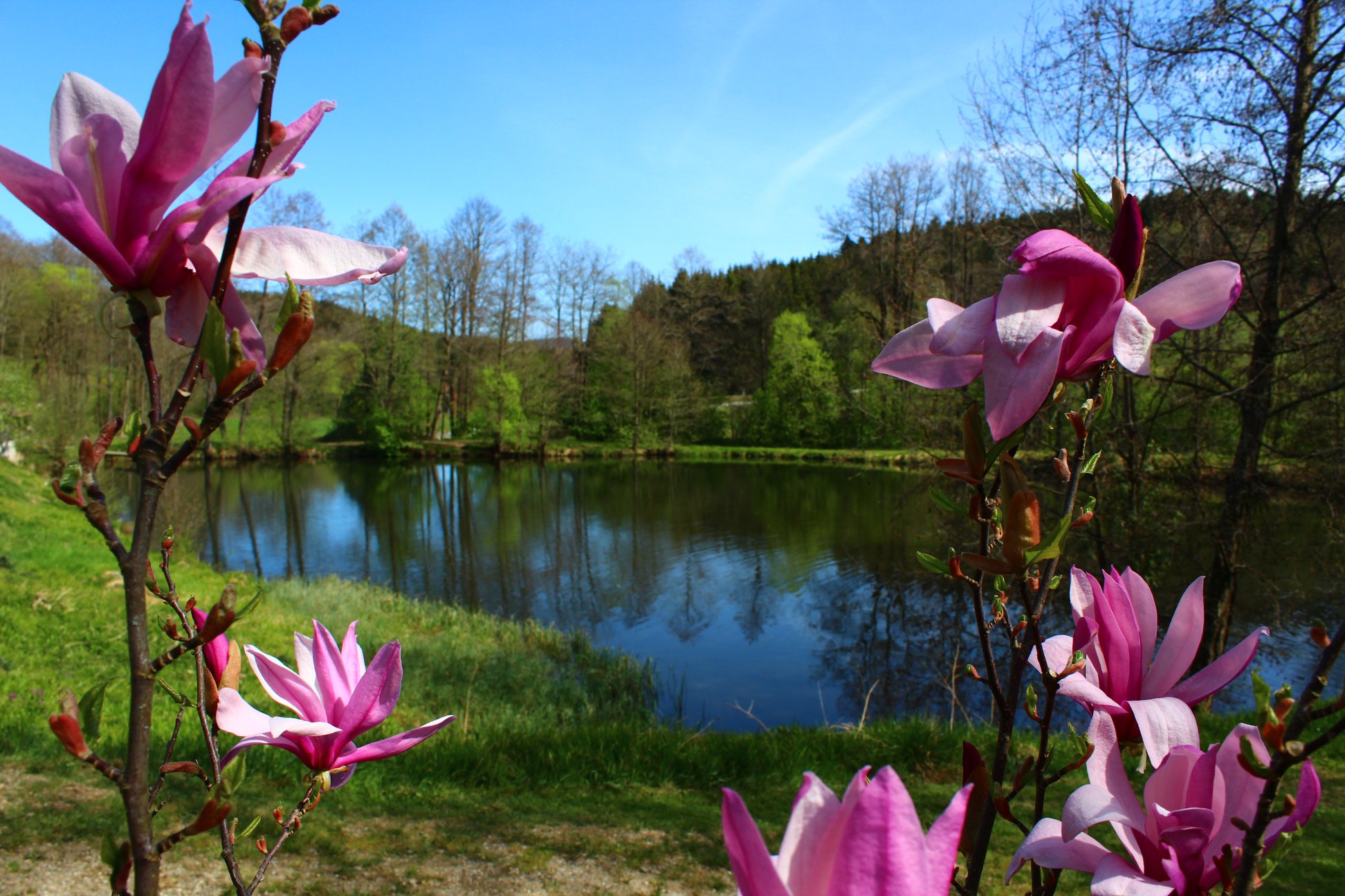 Urlaub in der Hirschensteinregion Bayerischer Wald