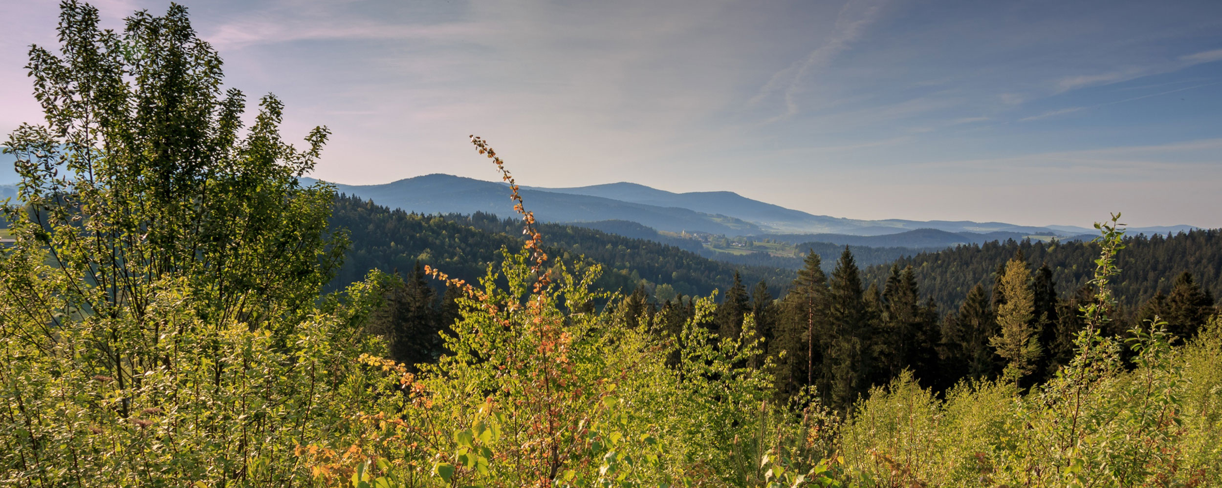 Langdorf im Bayerischen Wald